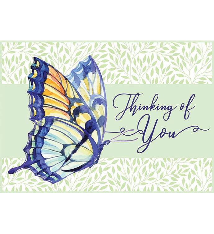 Tins With Pop® 4 Gallon Thinking of You Butterfly